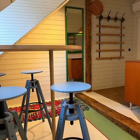 Vaeikese Viigi Katusekorter